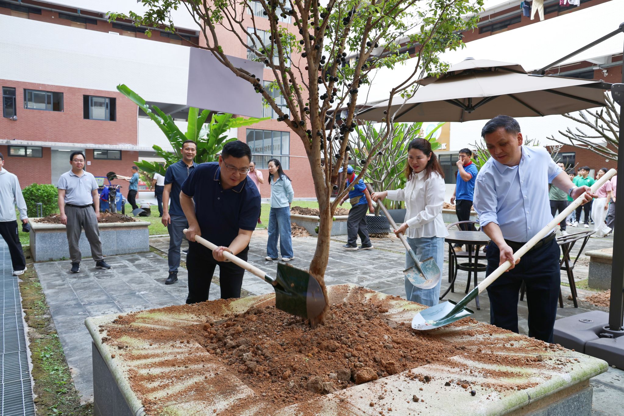 扎根育人沃土 共植希望之林：校领导与师生共植嘉宝果树